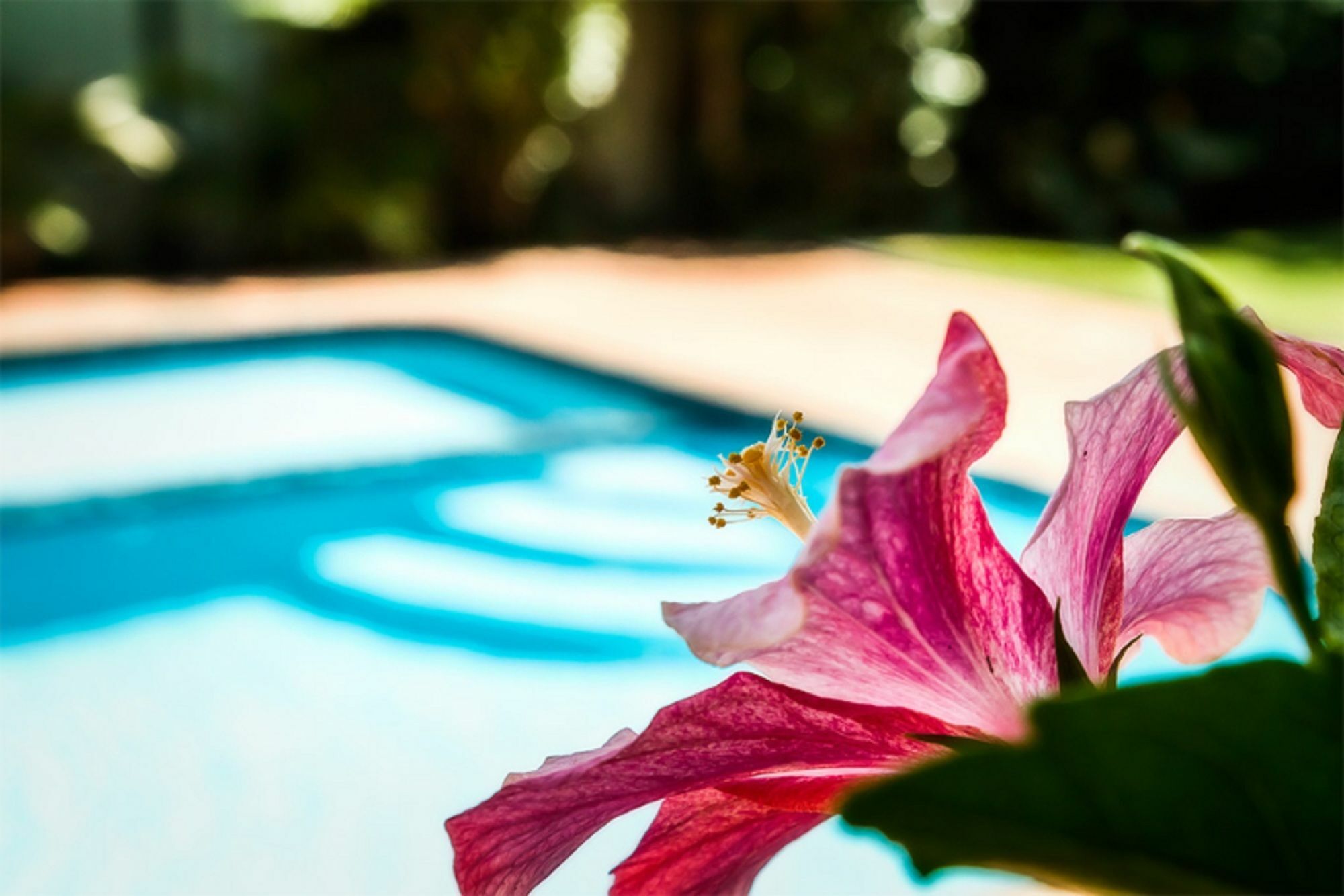 Coffs Harbour Holiday Apartments Buitenkant foto